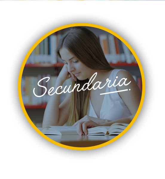 04-Secundaria-img-mouse-2.png
