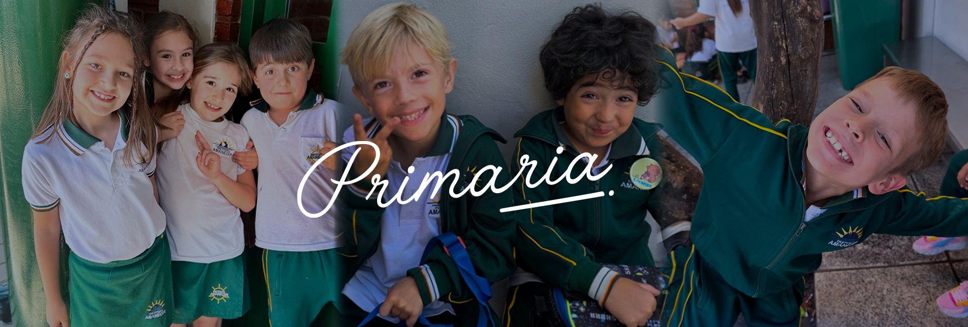 01-Primaria-slider-1.jpg
